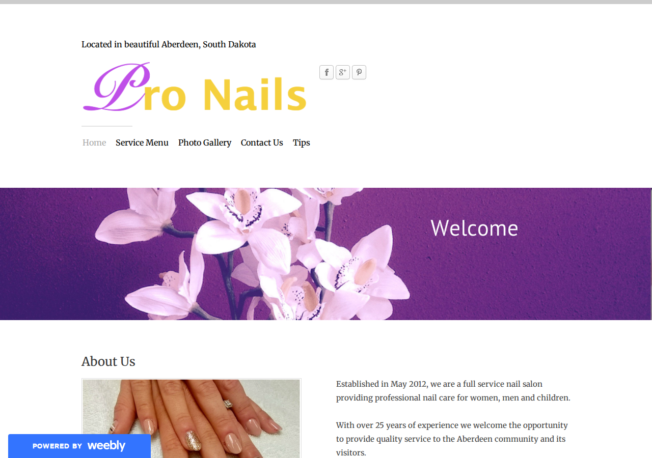 Pro Nails current live website screenshot